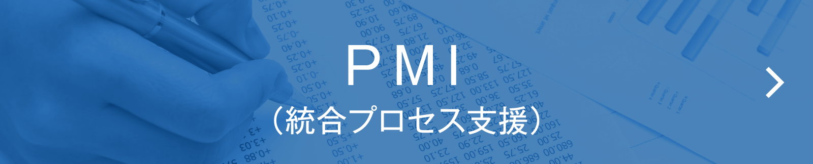 PMI（統合プロセス支援）